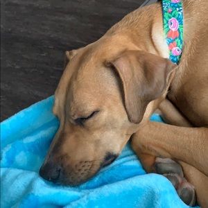 MAKE A REASONABLE OFFER ON ANYTHING AND ITS YOURS!